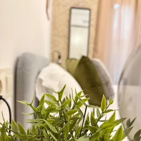 Apartmán Vive Xv