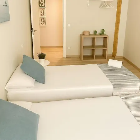 Vive Xv 萨拉戈萨